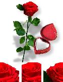 ayanna